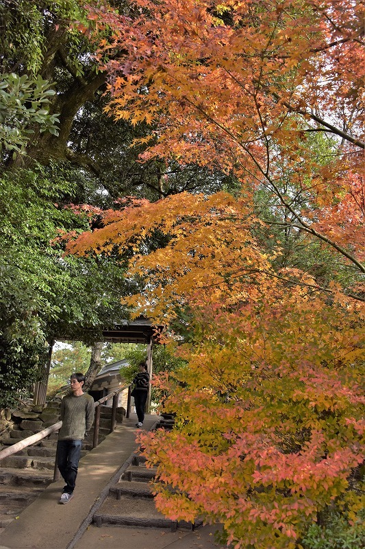 八重垣神社_f0373120_10384834.jpg