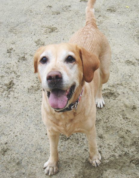 アルバム日記 no.3_c0087521_00153581.jpg