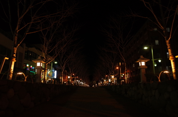 江の島からぶらぶら その13～夜の鶴岡八幡宮_a0287336_22251791.jpg