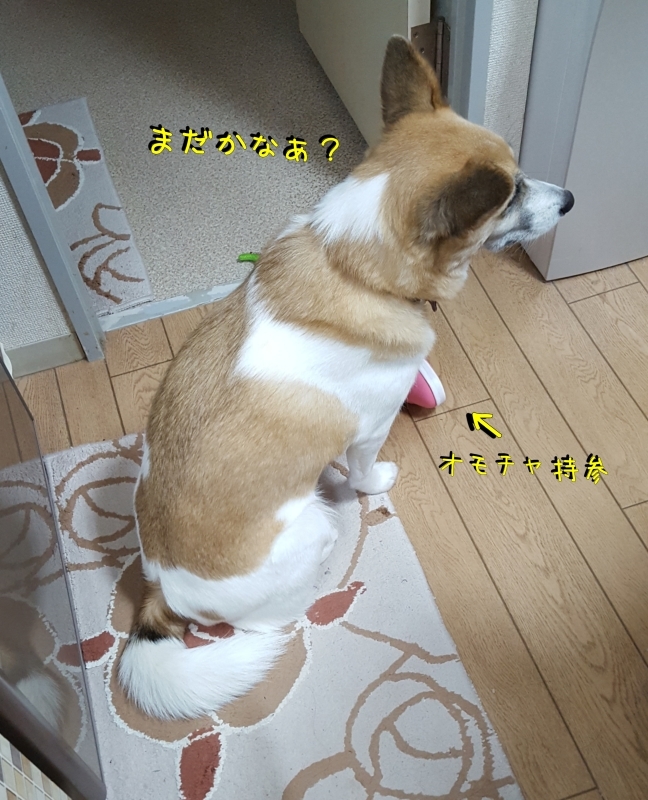 a0353444_21100298.jpg