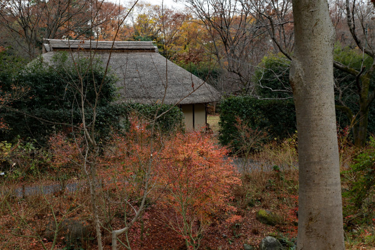 a0120949_06425265.jpg