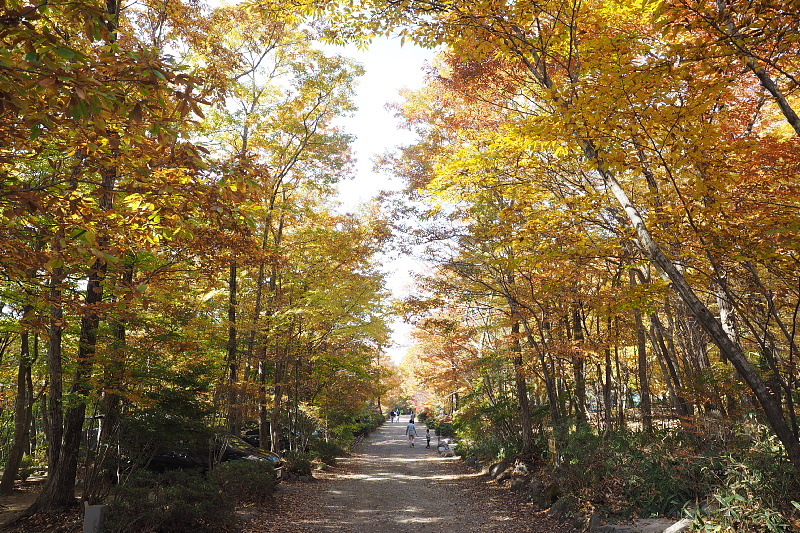 【キャンプレポート】メープル那須高原キャンプグランド ～紅葉の再訪編 ②_b0008655_14441207.jpg