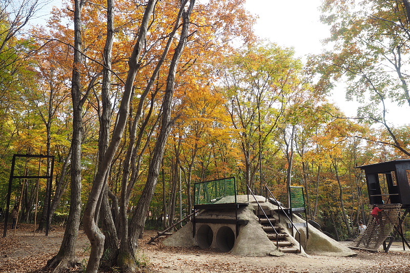 【キャンプレポート】メープル那須高原キャンプグランド ～紅葉の再訪編 ②_b0008655_14490379.jpg