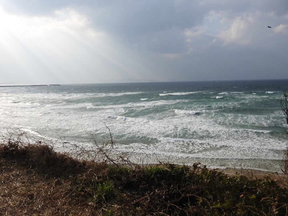 d0149957_14525214.jpg