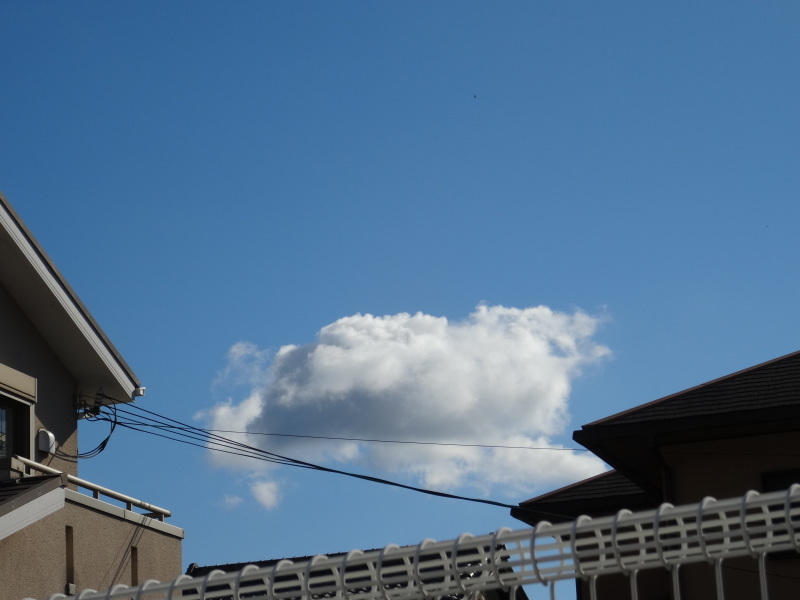 c0108460_14155533.jpg