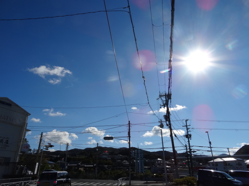 c0108460_14155664.jpg