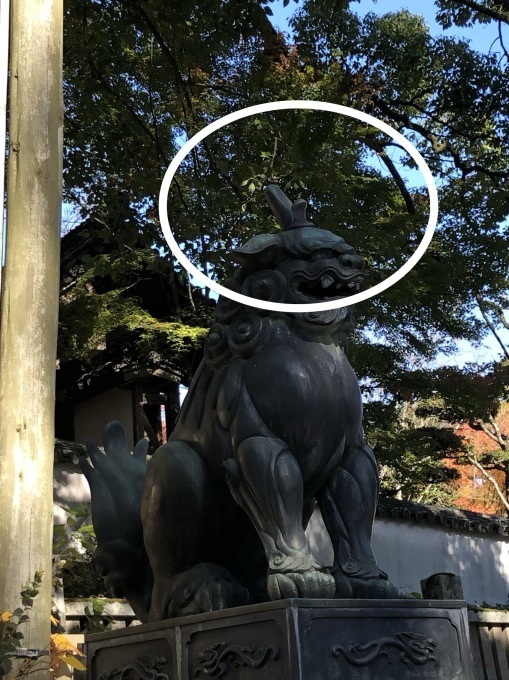 e0151266_10063730.jpeg