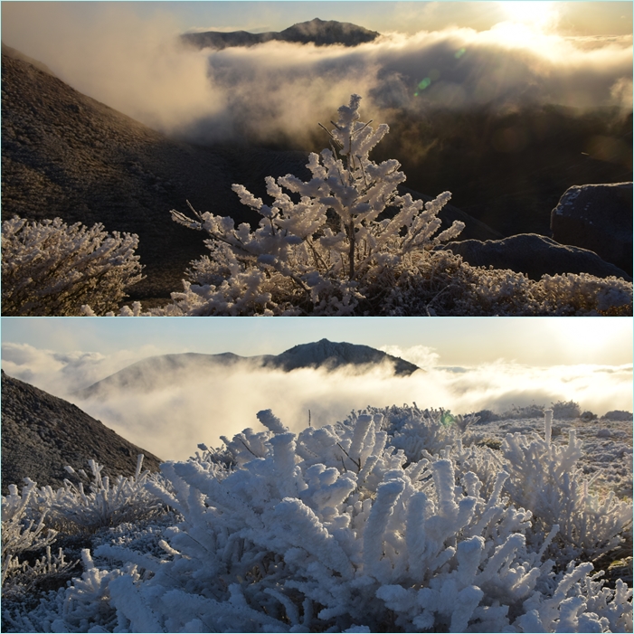 霧氷の花咲く三俣山・・・その１（スガモリ越～西峰）。_f0016066_18182511.jpg