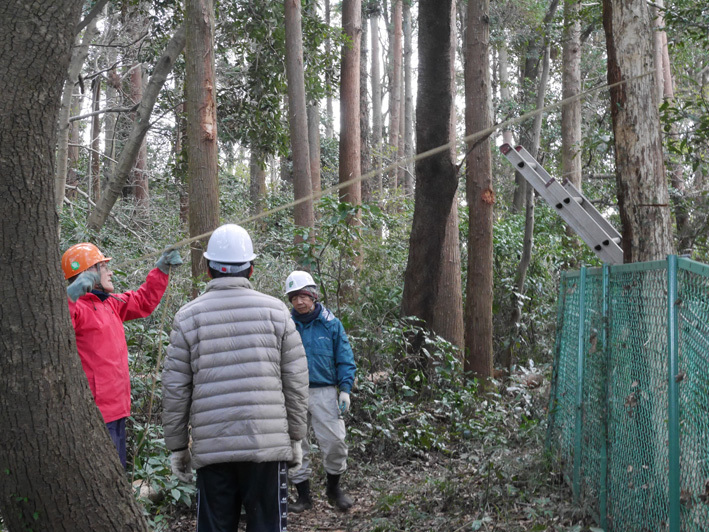 手こずりながらも枯れたスギ伐採12・15六国見山定例③_c0014967_05432860.jpg