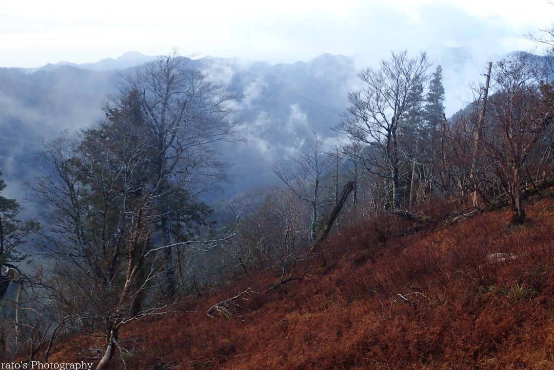 f0236776_21025700.jpg