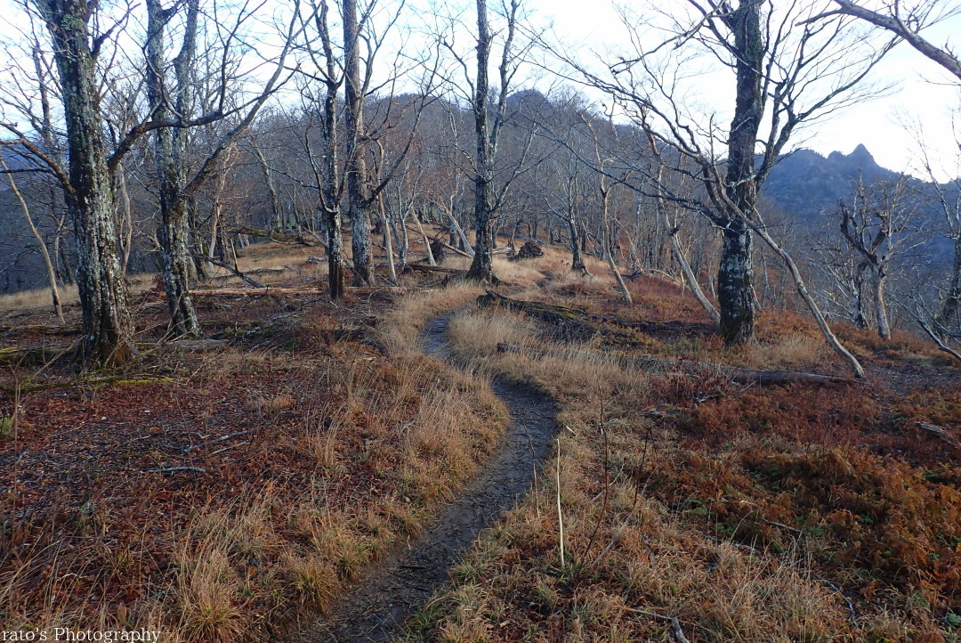 f0236776_21030132.jpg