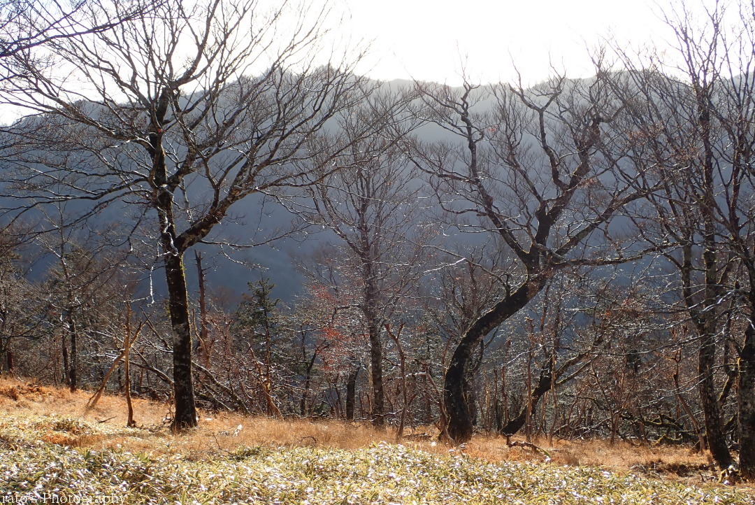 f0236776_21030798.jpg