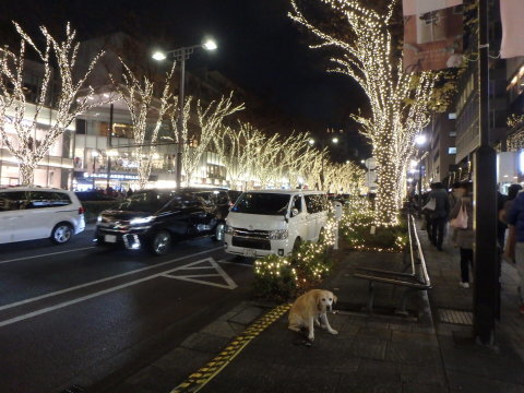 f0052277_01305368.jpg