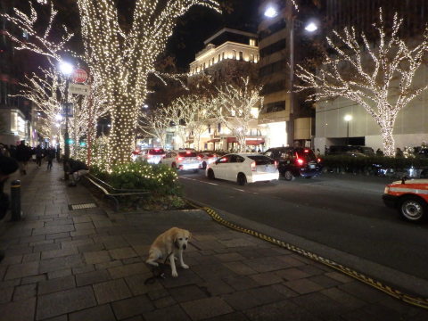 f0052277_01313062.jpg