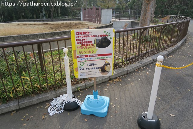 ２０１８年１２月　とべ動物園　その５　ハヤト登場_a0052986_7193542.jpg