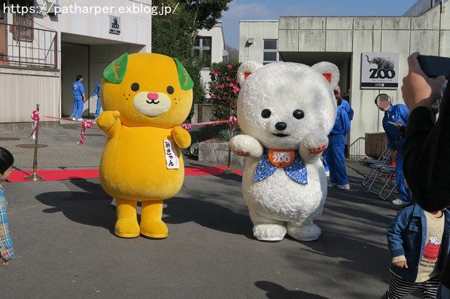 ２０１８年１２月　とべ動物園　その５　ハヤト登場_a0052986_7292942.jpg