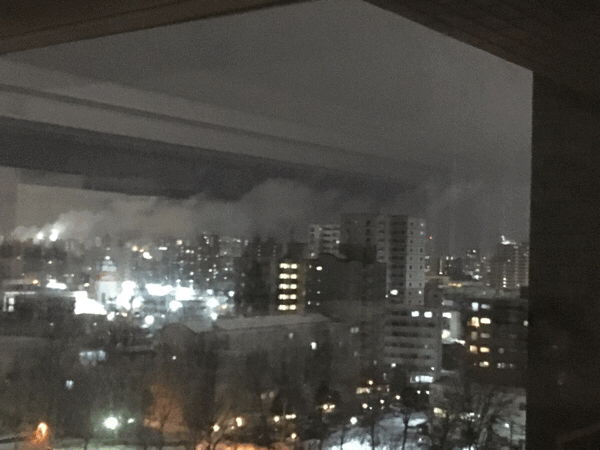 a0309389_20460226.gif