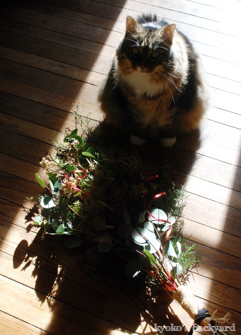 クリスマススワッグと猫柄ラッピングペーパー(と猫)_b0253205_07483537.jpg