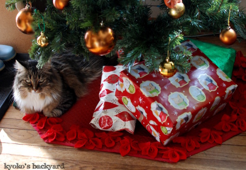 クリスマススワッグと猫柄ラッピングペーパー(と猫)_b0253205_07535822.jpg