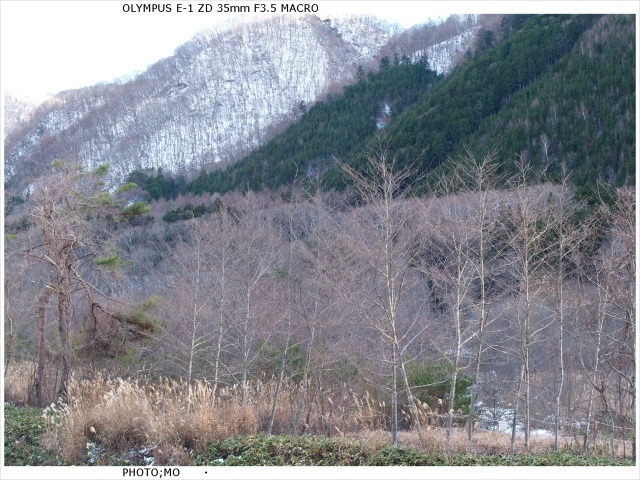 c0185705_19032020.jpg