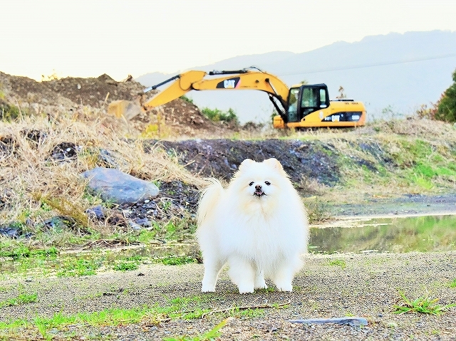 成長著しく_d0360206_00291318.jpg