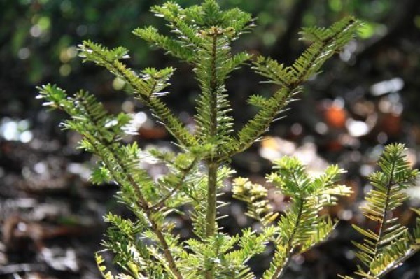 e0367116_06515908.jpg
