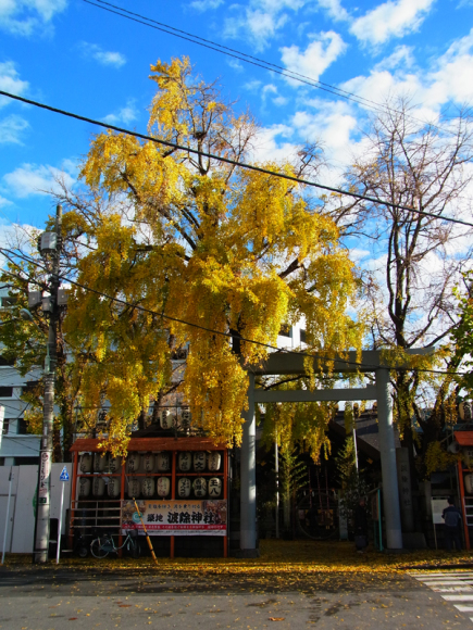 e0083517_06090811.jpg