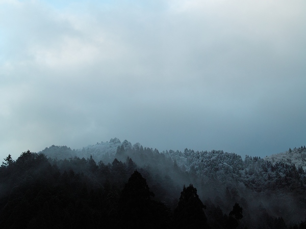 c0044819_85584.jpg