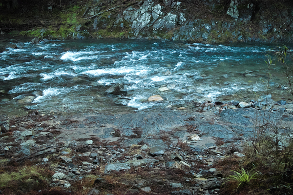 c0044819_8617100.jpg