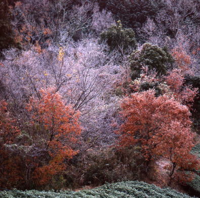 日本風景写真協会 奈良第2支部 第15回記念_b0199226_09284535.jpg