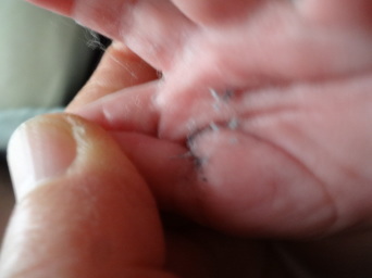 f0142733_21114401.jpg