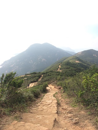 f0371533_11151436.jpg
