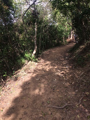 f0371533_11161944.jpg