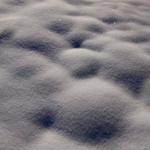 a0329935_11541335.jpeg
