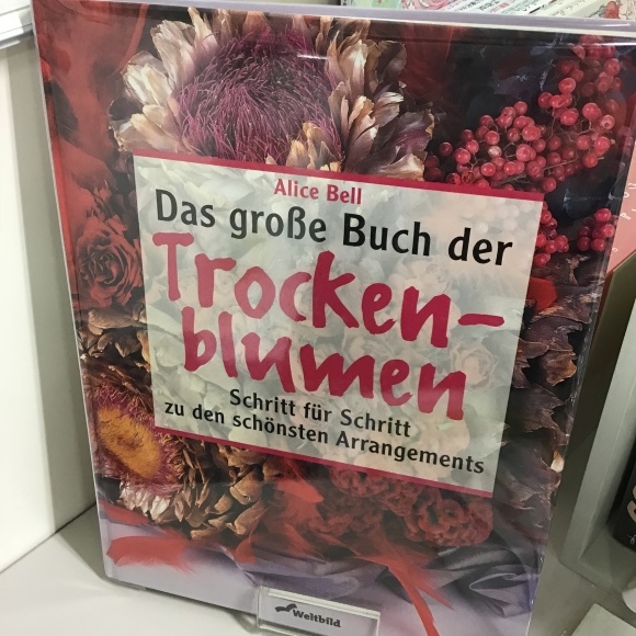d0239135_10294528.jpeg