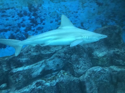 c0227640_07403271.jpg