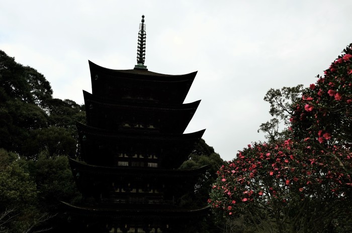 ”国宝瑠璃光寺五重塔~山口市...12/18tue\"_d0153941_18454318.jpg