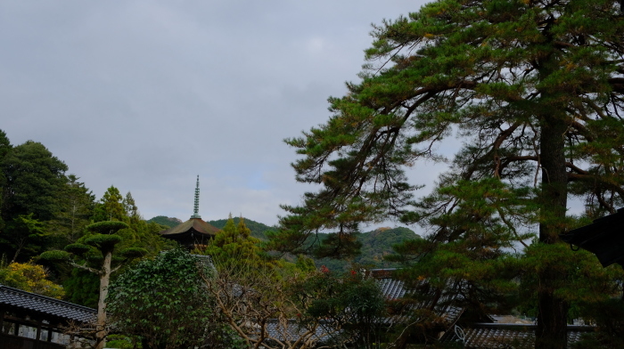 ”国宝瑠璃光寺五重塔~山口市...12/18tue\"_d0153941_18485342.jpg