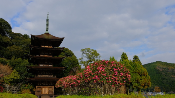 ”国宝瑠璃光寺五重塔~山口市...12/18tue\"_d0153941_18500204.jpg