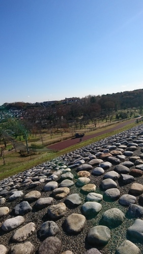 a0329943_20565245.jpg