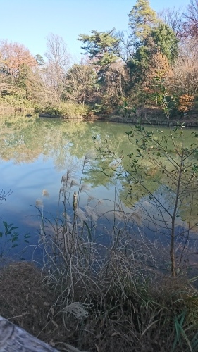 a0329943_21055499.jpg