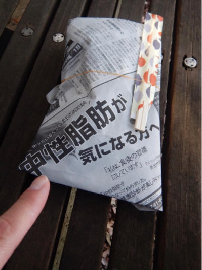 解説…Ⅷ（減煙日記 その12）_b0136045_12050002.jpg