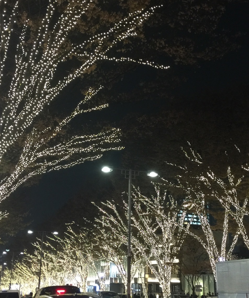 f0372146_22244140.jpg