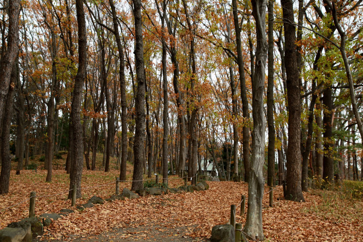 a0120949_05534214.jpg