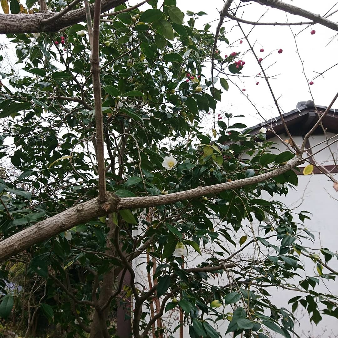 a0164657_04003643.jpg