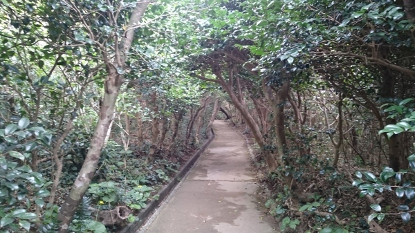 e0197164_15242706.jpg