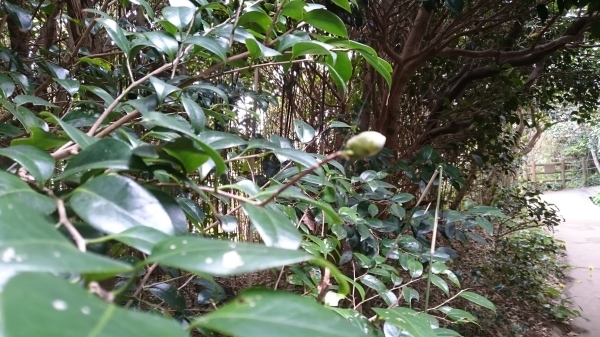 e0197164_15244453.jpg
