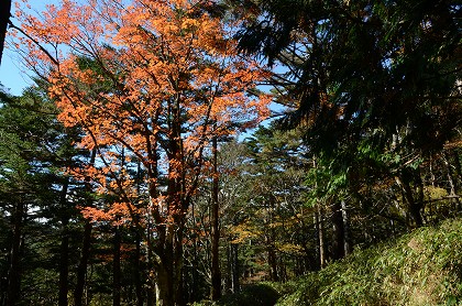 c0229483_9174812.jpg