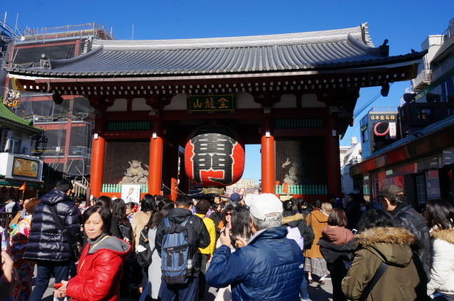 浅草寺・歳の市（羽子板市）_b0178388_22023972.jpg