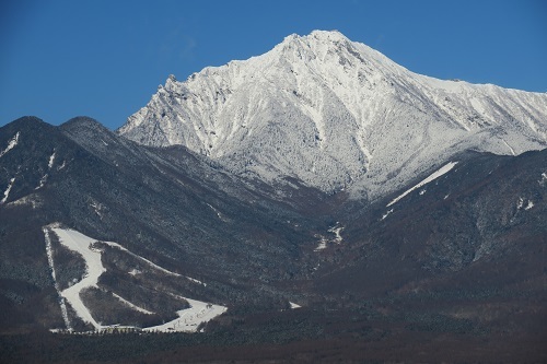 a0158702_16294822.jpg